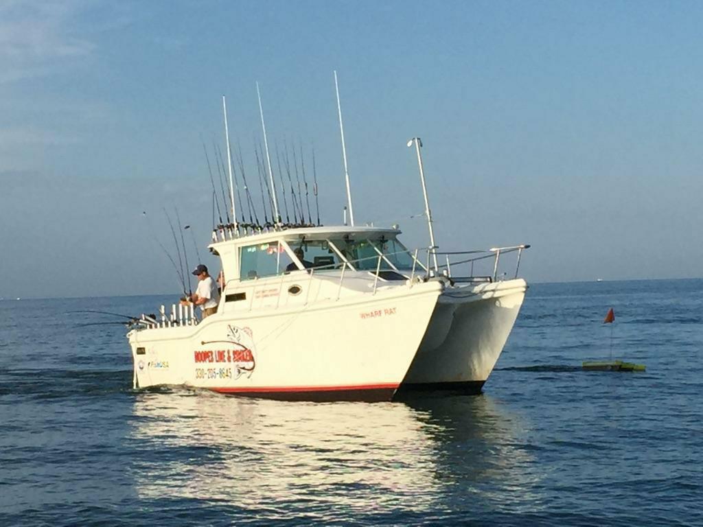 lake erie walleye charter